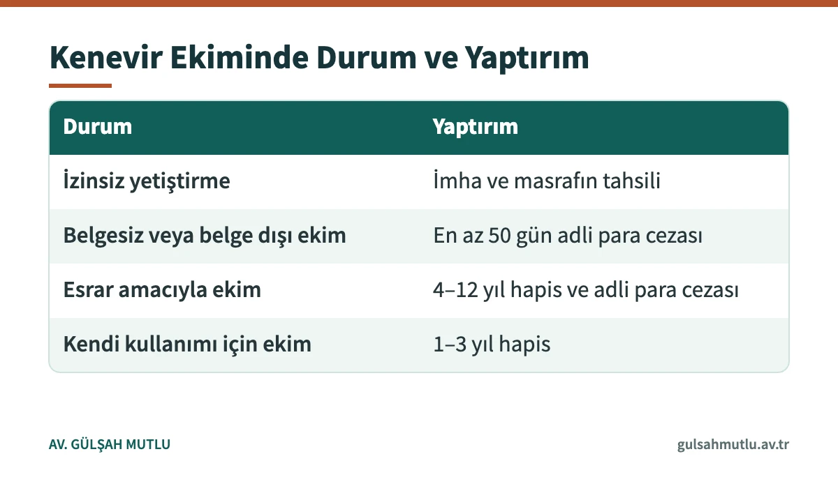 2313 sayılı Kanun m. 23'e göre kenevir ekiminde durumlara göre yaptırımlar tablosu